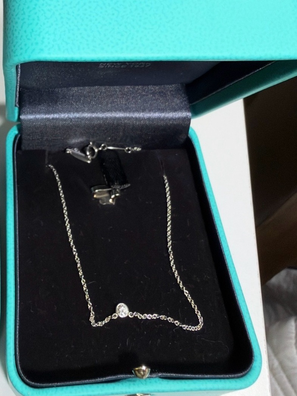 Tiffany & Co. Platinum Diamond by the yard Pendant Necklace